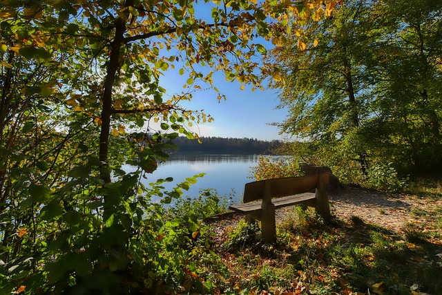 到既不妥协 到既不妥协