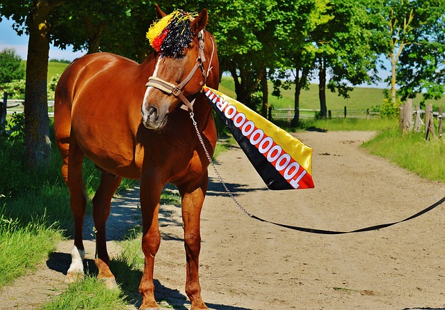 使用的小型 使用的小型