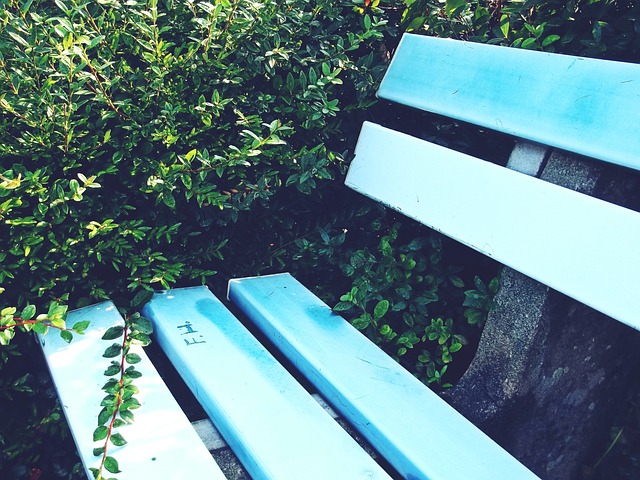 建立了一套 建立了一套